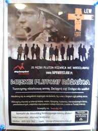 Meskie Plutony Rozanca Book Cover Poster Books