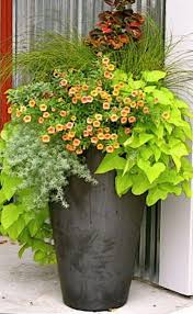 Image Result For Contemporary Spring Garden Flower Pots Ideas Plants Garden Containers Garden Planters
