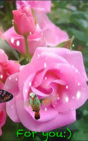 Foto di fiori bellissimi, immagini di fiori da scaricare, foto di un mazzo di fiori, immagini di felice giornata: Immagini Di Fiori Bellissimi Fiori Fiori Esotici
