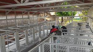 Oke lain waktu kita bahas tentang kandang kambing dari bambu dengan ukuran yang benar dan sederhana dengan lantai tanah, jarak lantai, rangka baja ringan dan kandang kambing,biaya kandang kambing baja ringan,kandang kambing minimalis,kandang kambing modern,lantai. Kandang Kambing Baja Ringan Di Cikarang Utara Baja Ringan Cikarang