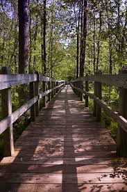 Sapsucker Woods New York Pictures Beautiful Places Most Beautiful Places