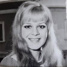 Little Pattie Fan Group