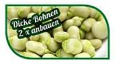 160 bohnen ideen in 2021 bohnen rezepte essen from i.pinimg.com verfasst von aleandra am 1. Dicke Bohnen Rezept Vegan Der Bio Koch 78 Youtube
