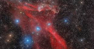 Image result for Searsia nebulosa