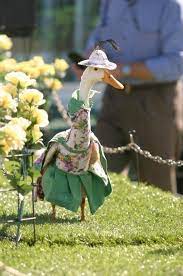 Farmer Hires Dressmaker To Style His Ducks In Fanciful Costumes Designtaxi Com Animals Animal Poses Duck Dress