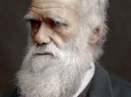 As Ideias Evolucionistas De Darwin