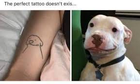 30 Of Today S Freshest Pics And Memes Funny Dog Memes Cute Funny Animals Funny Dogs