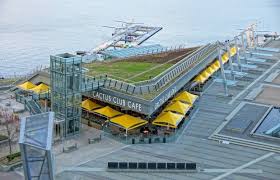 Saturday and sunday from 3 to 6 pm (kitsilano); Cactus Club Cafecoal Harbour Vancouver Vancouver Canada Harbour