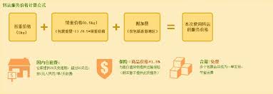到高性价比商品。 合作商城：京东 天猫 苏宁 亚马逊 国美 考拉 拼多多 唯品会 更多». æ·˜å®ç½'å›½é™…è½¬è¿æœåŠ¡