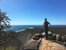 The pristine forests, the plains of the wilderness, the splendid sunsets, the kangaroos swarming around, and the koalas on the branches look around. Stamford Hill Hike Magnificent Views Of Boston Bay Lincoln National Pk