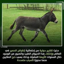Pin By Basim Hussain On Jokes Horses Animals Jokes