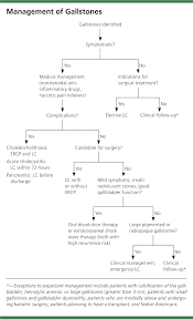 Surgical And Nonsurgical Management Of Gallstones American