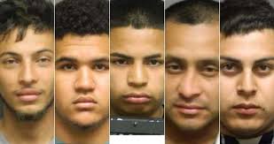 Westwood Police Officer Grabs Pennsylvania Five With 3 Guns, Pot