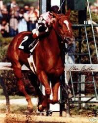 102 Best Affirmed Images In 2019 Triple Crown Winners