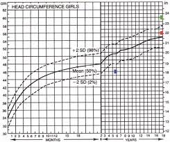 The Value Of Head Circumference Measurements After 36 Months