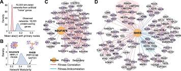 The aggressive bottom side system (part 1: Fireworks A Bottom Up Approach To Integrative Coessentiality Network Analysis Life Science Alliance