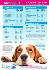 Welcome to bubbles n' barks. Services And Prices Bubbles Dog Grooming