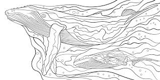 Download National Geographic Magnificent Oceans Colouring Book The Dots