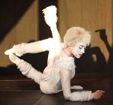 The first cats broadway revival opened in summer 2016, produced by the shubert organization and the nederlander organization. Victoria The White Cat Wikipedia