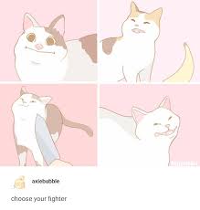 Pin By Tammy Sabisch On Memes Cat Memes Funny Memes Tumblr Funny