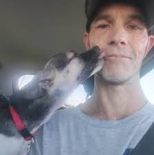 Getting companion for 12 year old chihuahua?