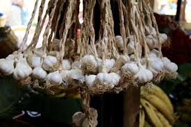 We did not find results for: How To Harvest And Store Garlic