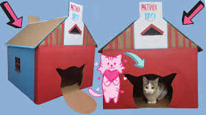 patinin youtube videolari panosundaki pin