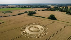 Giant crop circle appears in farmer's field in Upham | Daily Echo