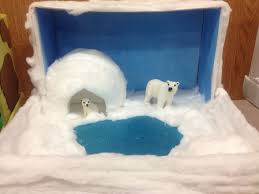 pinterest.com tundra project ideas | Projects for kids, Habitats projects,  Bear habitat