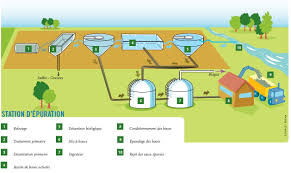La Biomasse Humide Le Traitement Des Boues Des Eaux Usees Par Methanisation Avec Production De Biogaz Et Traitement Des Eaux Usees Traitement Des Eaux Biogaz