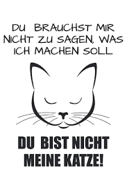 18 verschiedene magnete lustige sprüche deutsch englisch. Du Bist Nicht Meine Katze Lustiges Notizbuch Taschenbuch Din A 5 Format Liniert Lustiger Katzen Spruch Notizbuch Notizheft Schreibheft Leute Mit Verwohnten Katzen German Edition Romeo John 9798694745246 Amazon Com Books