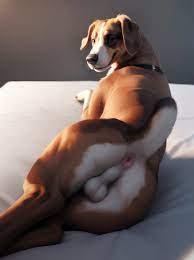 2023 absurd res ai generated anatomically correct animal  genitalia anus ass ass backsack balls ballsack bed black nose brown body  brown eyes brown fur canid canine canis domestic dog