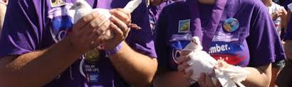 By submitting your photo to this group you are giving full permission to the american cancer society to use any of your submitted photos for any type of publication that promotes relay for life (including print media or internet. Relay For Life Of The Santa Clarita Valley