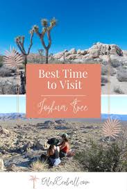 You are using an older browser version. A Guide To Visiting Joshua Tree National Park Usa California National Parks Joshua Tree National Park Joshua Tree Camping