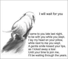 My Dog Choula Died When I Was In 2nd Grade And I Still Cry When I Think Of Her And Then I Can Just Feel Her Presence And S Dog Poems