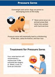 Hot spots are red, moist, hot and irritated lesions that are typically found on a dog's head, hip or chest area. Dog Hair Loss Common Causes Treatment Canna Pet