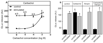 Black widow spiders are notorious for their painful bites and lethal venom. Toxins Free Full Text Cell Based Reporter Release Assay To Determine The Activity Of Calcium Dependent Neurotoxins And Neuroactive Pharmaceuticals Html