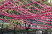 Contemporary Suspended Art Installation