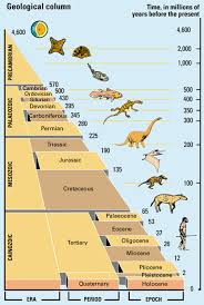 Escala De Periodos Historicos Ciencias De La Naturaleza Ciencias De La Tierra Historia De La Tierra