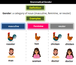 Neuter Gender What Is Neuter Gender In Grammar