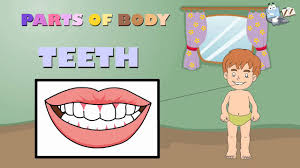 These activities focus on matching uppercase and low Parts Of Body Name Kindergarten Preschool Junior Kids Youtube