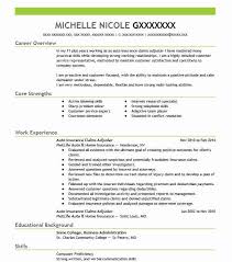 A licensed insurance agent works either independently or for an insurance company to sell life, home, or auto insurance to consumers. Auto Insurance Claims Adjuster Resume Example Livecareer