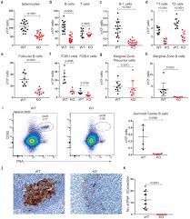 To kill a zombie the line must run through any part of its body. Histone Methyltransferase Dot1l Controls State Specific Identity During B Cell Differentiation Biorxiv