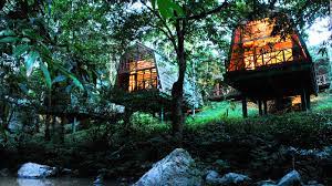 What are the best honeymoon resorts in malaysia? 10 Rainforest Resorts In Malaysia You Should Check Out Cnn Travel