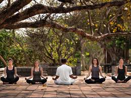 Bookyogaretreats Com News