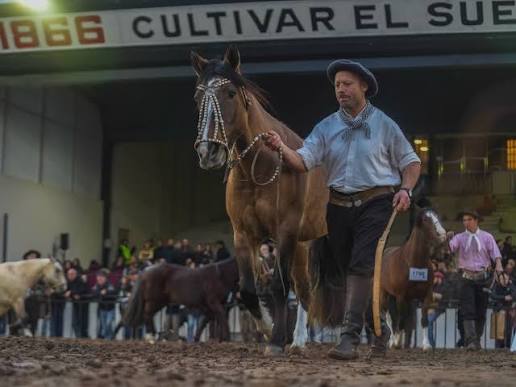 🥇 Campeón Castrado DELRAHUE FIJÓN • Box 1784 | Tipo y Aptitud 📷 @leo.abba 🥈 Reservado Campeón Castrado TROVERO MARUCHO • Box 1789 | Tipo y Aptitud 📷 @leo.abba 🥉 Tercer Mejor