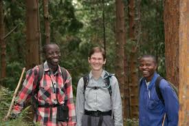 Image result for Beilschmiedia rwandensis