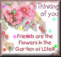 Check spelling or type a new query. Thinking Of You Friends Are The Flowers In The Garden Of Life Friendship Graphics For Facebook Tagged Facebook Tumblr Hi5 Friendster Blogs Tumbr Twitter Google Google Plus Pinterest Linkedin
