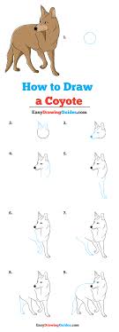 We did not find results for: How To Draw A Coyote Really Easy Drawing Tutorial