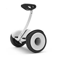 Chinese company chi robotics had to know about the hoverboard by a weird article smart s1. Geeek Super Monorim Hoverboard Mini Roller 10 Zoll Roller Geeektech Com